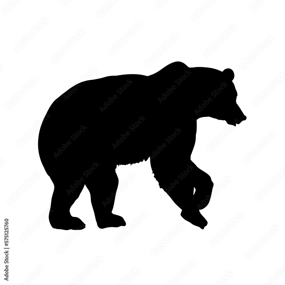 Fototapeta premium silhouette of a bear