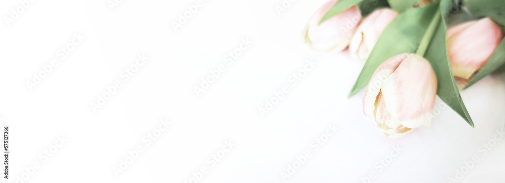 Fototapeta premium Baner kwiaty