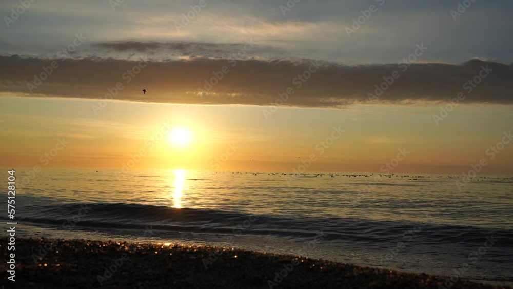 flock of seagulls is resting in the sea. Warm sunset sky over the ocean, sun glare. Silhouettes of seagulls sitting on the water and flying with the sea in the background at sunset flock of seagulls is resting in the sea. Warm sunset sky over the ocean, sun glare. Silhouettes of seagulls sitting on the water and flying with the sea in the background at sunset
