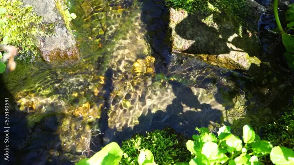 Water flowing in a stream through rocks Water flowing in a stream through rocks