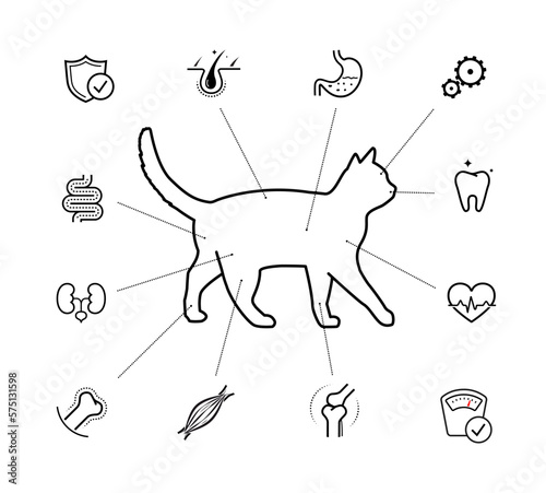 Vitality icon set for cat. The outline icons are well scalable and editable. Contrasting elements are good for different backgrounds. EPS10.	