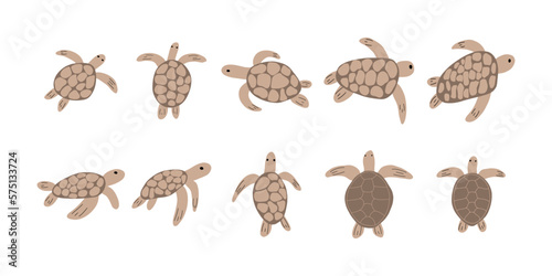 Turtle Character sea animal on deep background. Wild life illustration. Underwear world. Vector illustration.