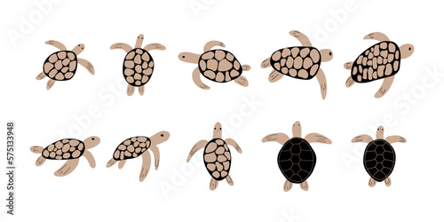 Turtle Character sea animal on deep background. Wild life illustration. Underwear world. Vector illustration.