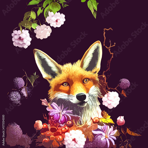Fuchs, Illustration