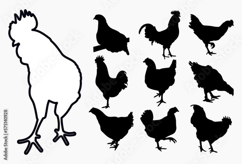Leinwand Poster Set cock, cockerel, rooster, chicken, hen, chick, position standing, poultry sil