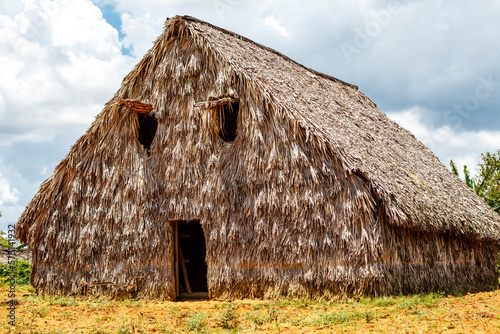 Photography Tobacco plantation in the Vinales Valley, Western Cuba, Cuba, Caribbean