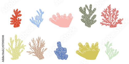 Coral. Underwater element. Vector illustration in scandinavian style. Sea ocean.