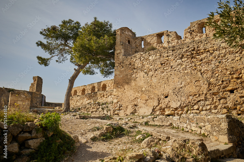 Walls of an ancient stone fortress with a large tree