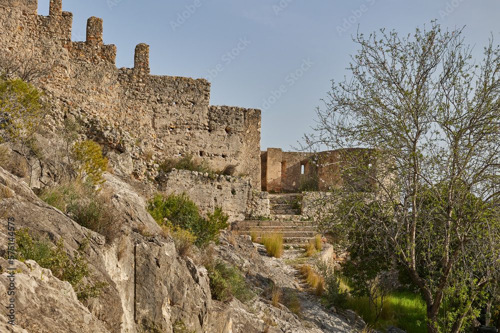 Walls of an ancient stone fortress with a tree