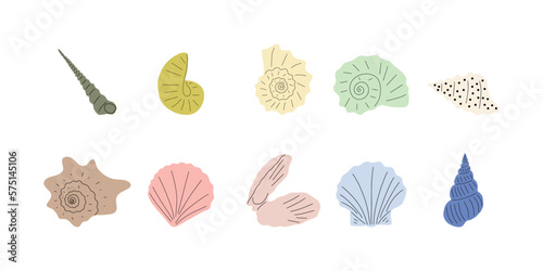 Tropical underwater seashell. Hand drawn sea mollusk shellfish element. Vector illustration in scandinavian style.