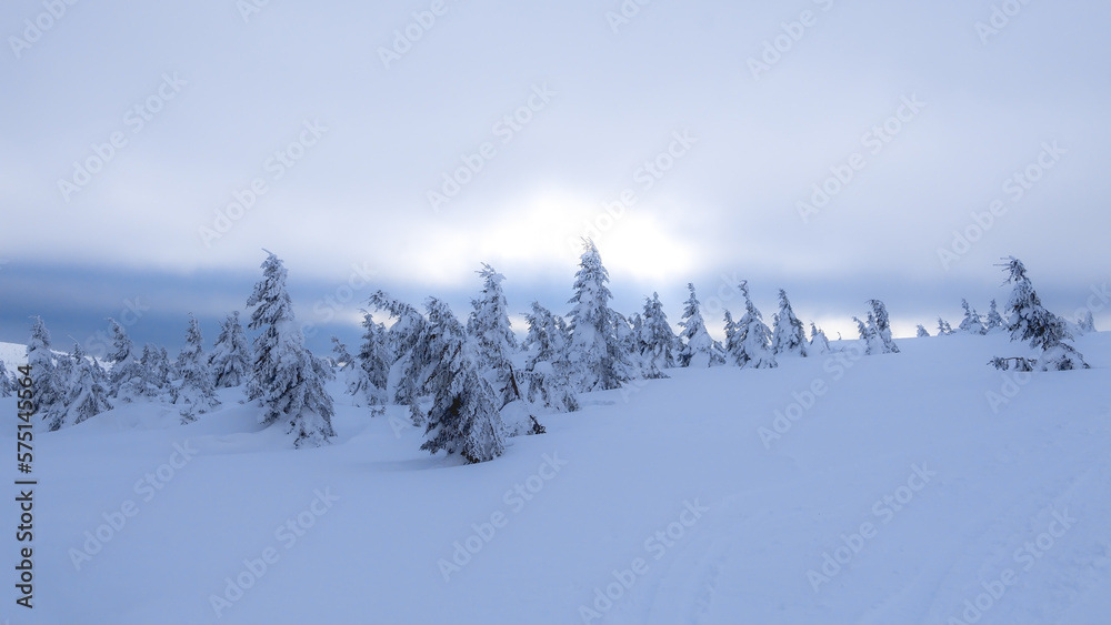 Fototapeta premium Snowy country near Labska bouda, Krkonose mountains, Czech republic