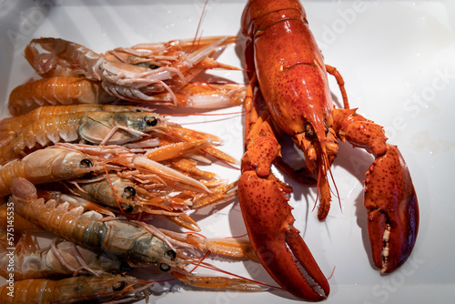 Slowfood - lobster and Norway lobster