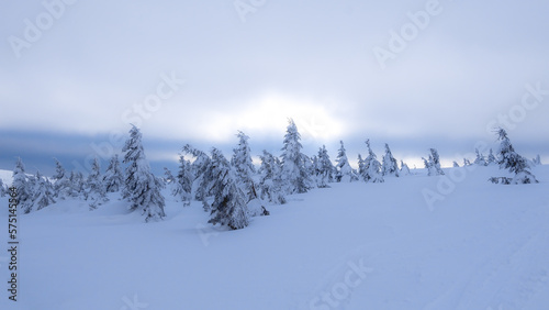 Snowy country near Labska bouda, Krkonose mountains, Czech republic