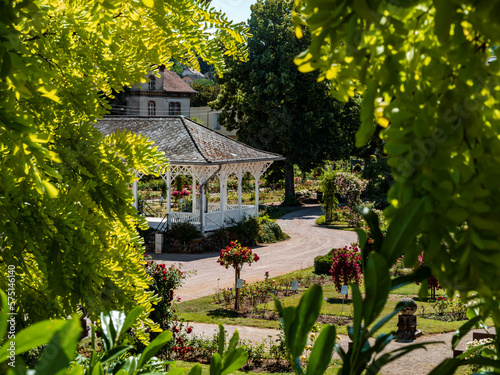 Rose garden in Saverne. Museum of Flowers.