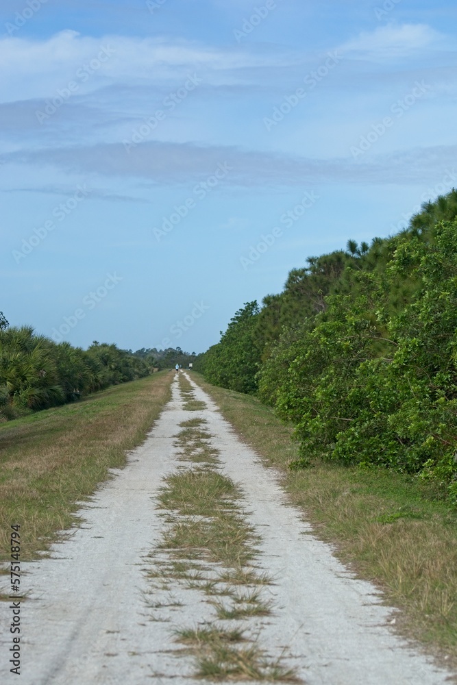 Unpaved limestone road  through Florida wetlands with distant jogger