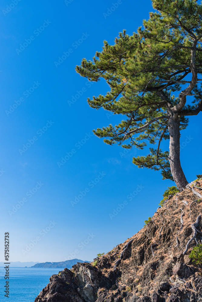 Obraz premium 日本 高知県高知市浦戸の桂浜の竜王岬展望台