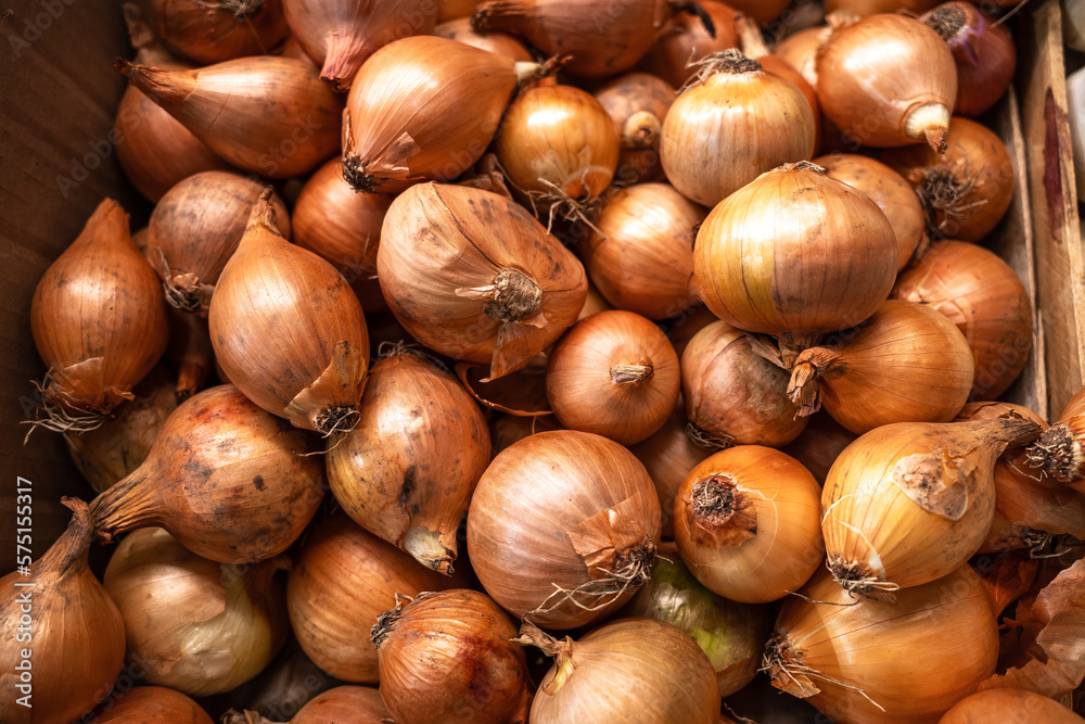 Obraz premium Onions of all sizes in a box
