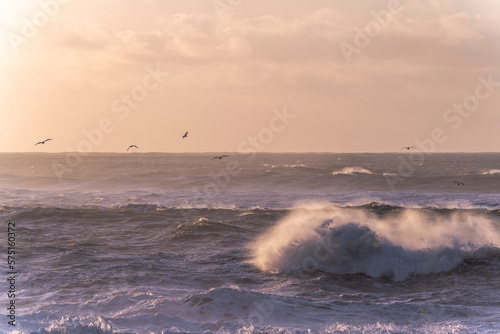 Black beach Iceland big waves during sunrise with birds hovering over the waves