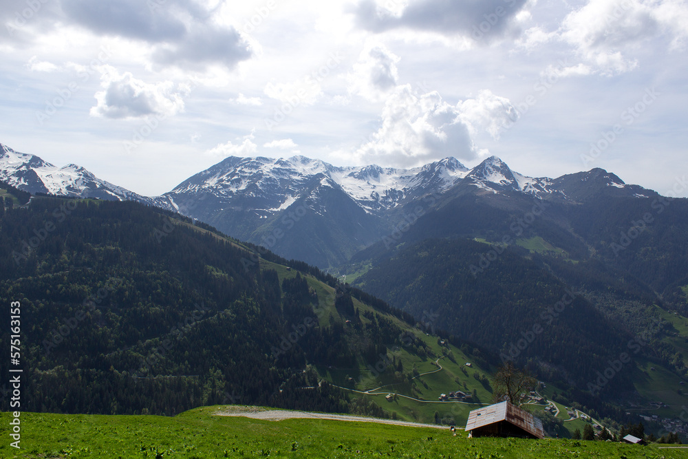 green grass alpine valley Mont Blanc  mountain massif landscape