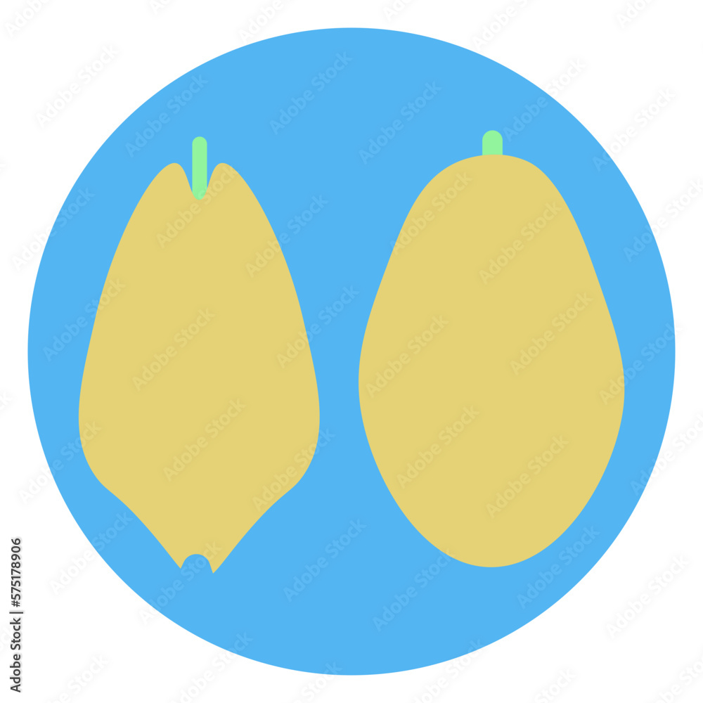 papaya illustration