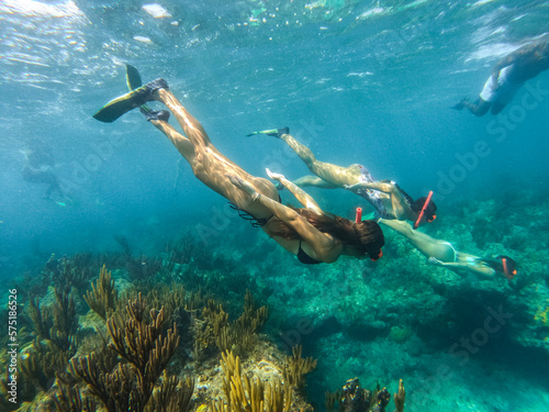 snorkeling in the ocean