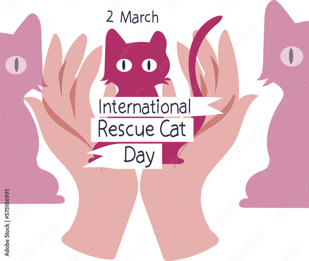 International Rescue Cat Day is celebrated every year on 2 March. Stock