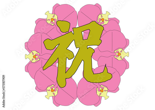 お祝い　胡蝶蘭