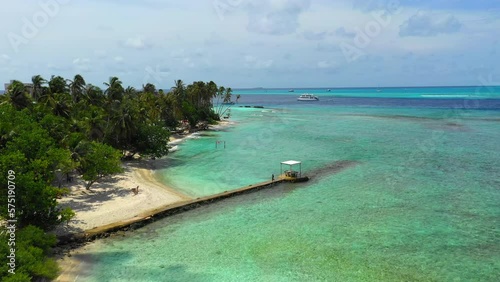 Aerial: Growth Of Green Trees And Plants On Coastline At Beach, Drone Flying Forward Over Sea During Sunny Day - Thulusdhoo, Maldives photo