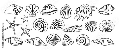 Sea shell sink doodle cartoon set. Ocean exotic underwater seashell conch aquatic mollusk, sea spiral snail marine starfish symbol collection. Tropical beach shells nature aquatic design illustration
