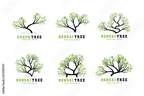 Green Tree Logo Design  Bonsai Tree Logo Illustration  Leaf And Wood Vector