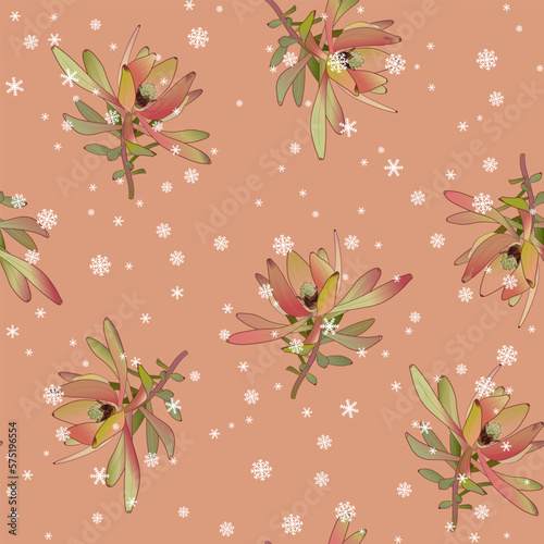 Seamless floral pattern with blooming branches of Leucadendron or Conebush plant and snowflakes. Botanical seasonal winter design. On pink background. photo