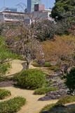 国際文化会館,日本庭園