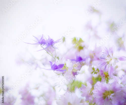 delicate purple wildflowers on a light background
