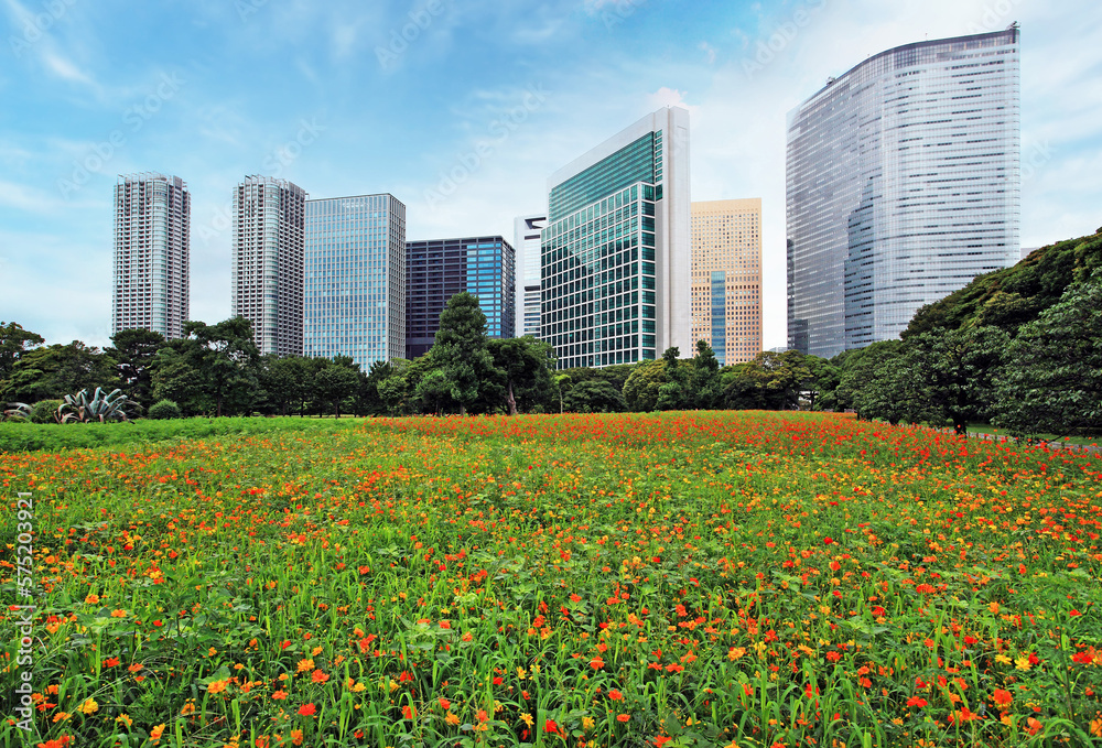 Naklejka premium 浜離宮恩賜庭園