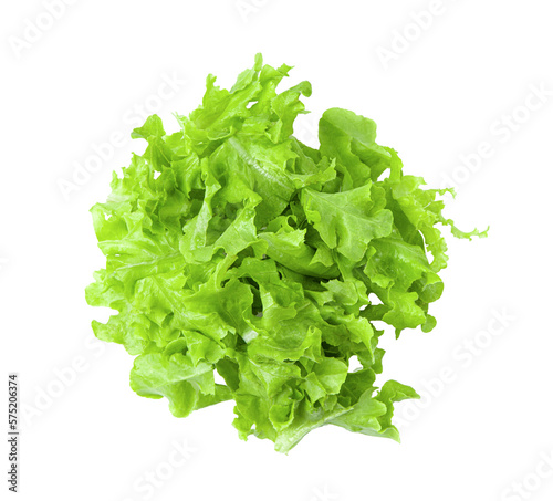 lettuce leaf isolated on transparent png