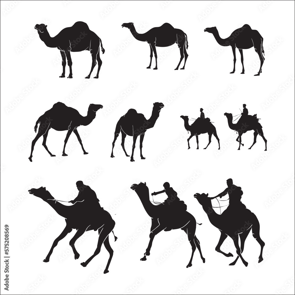 collection of hand drawn camel silhouettes - obrazy, fototapety, plakaty 