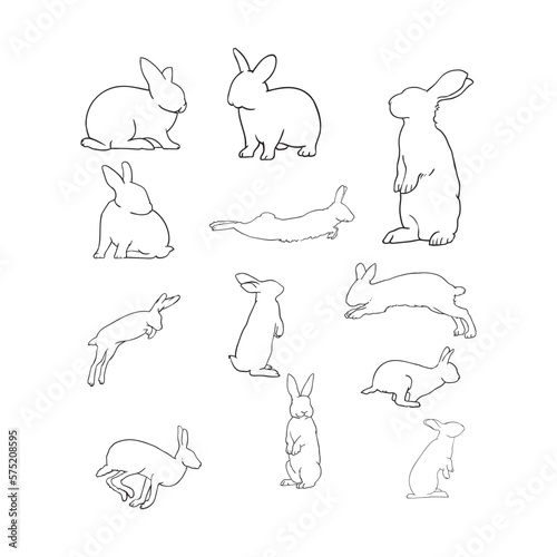 rabbit outline hand drawn collection