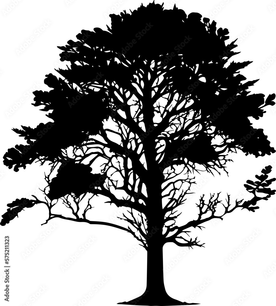 Tree black silhouette. Realistic tree silhouette isolated element ...