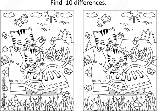 Difference game with two cute playful kittens and old shoe
