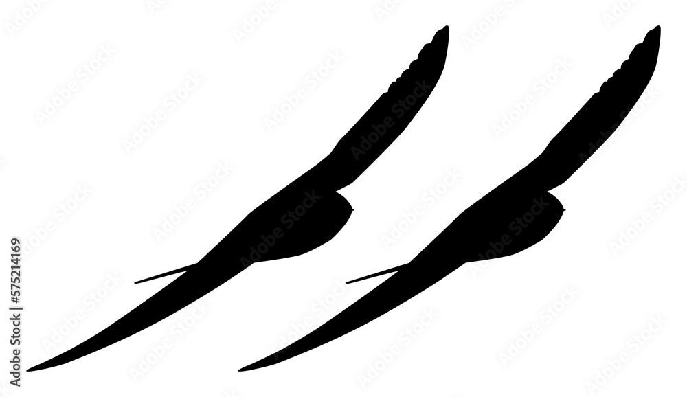 Flying of the Swallows, Martins, and Saw wings, or Hirundinidae Bird Silhouette for Logo, Pictogram, Website, Art Illustration or Graphic Design Element. Pair Bird. Format PNG Flying of the Swallows, Martins, and Saw wings, or Hirundinidae Bird Silhouette for Logo, Pictogram, Website, Art Illustration or Graphic Design Element. Pair Bird. Format PNG