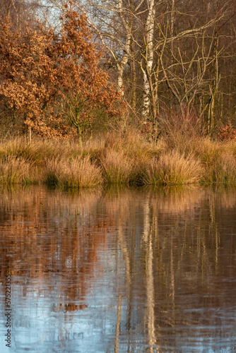 Obraz na płótnie Landscape, a half-frozen lake in front of the forest, Reflections of the trees in the water with ice. Warm colors, winter, frost and cold w salonie