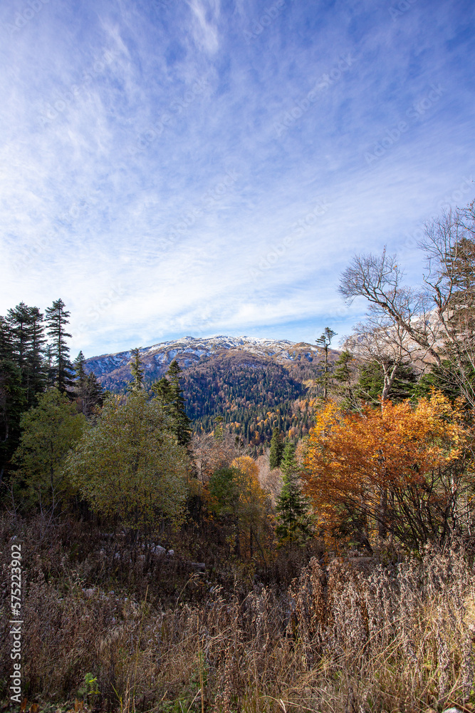 mountainous terrain, autumn walks in the bosom of nature,.strolling and contemplating the riot of colors in nature. mountainous terrain, autumn walks in the bosom of nature,.strolling and contemplating the riot of colors in nature.