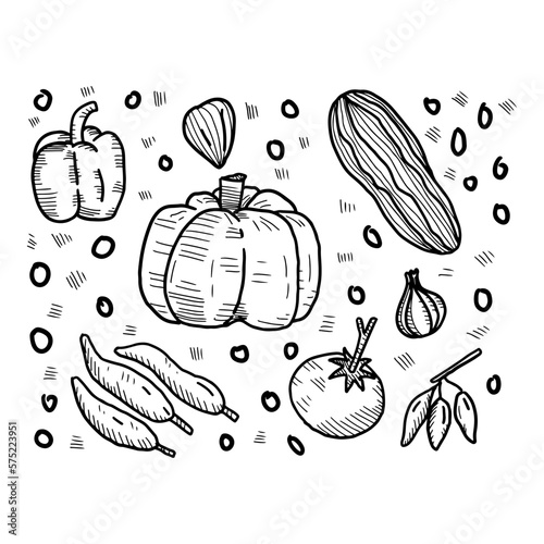 fruits and vegetables doodle hand drawing with hatching style