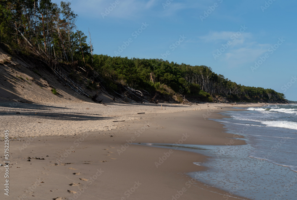 View of the Baltic Sea coast near the village of Lesnoy on the Curonian Spit on a sunny summer day, Kaliningrad region, Russia