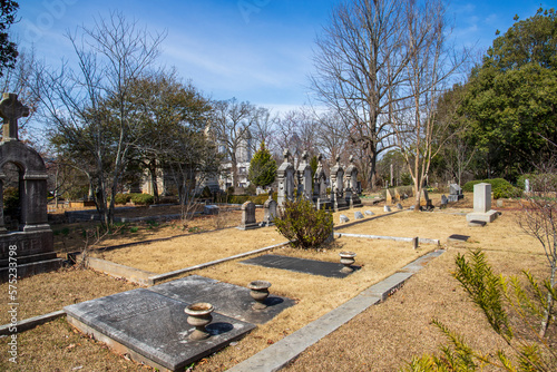 A gorgeous winter landscape in the graveyard with headstones, graves, bare winter trees, lush green trees, plants and flowers at the Oakland Cemetery with a blue sky and clouds in Atlanta Georgia USA photo