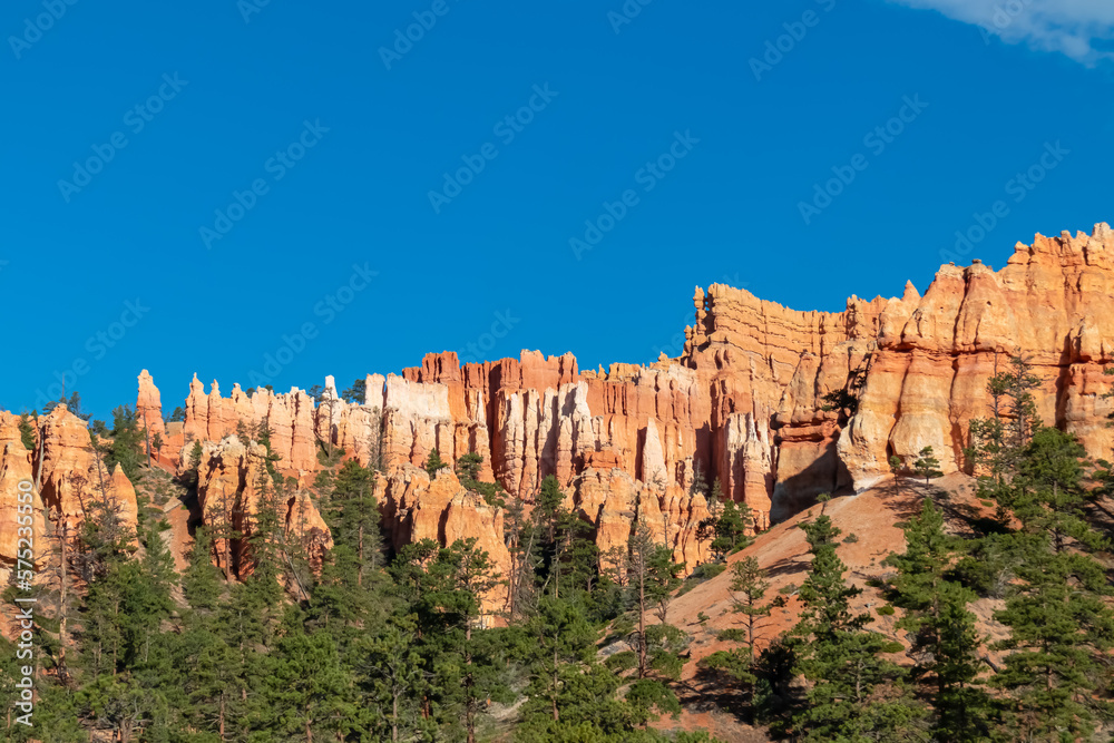 Scenic view of massive hoodoo sandstone rock formation towers on Queens Garden trail in Bryce Canyon National Park, Utah, USA. Pine tree forest surrounded by natural amphitheatre on sunny summer day