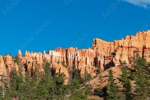 Scenic view of massive hoodoo sandstone rock formation towers on Queens Garden trail in Bryce Canyon National Park  Utah  USA. Pine tree forest surrounded by natural amphitheatre on sunny summer day