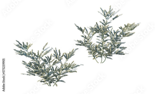 A variety of trees and plants on a transparent background