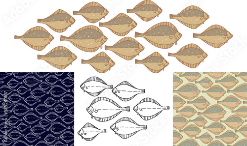Fish flounder. Vector illustration. Set of fish patterns.