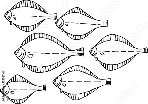 Hand drawing a lot of flounder fish. Vector illustration. A simple drawing of a fish. Fish day.